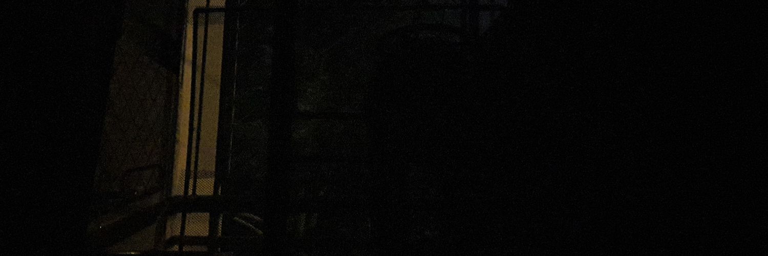 pmplsan's profile banner image