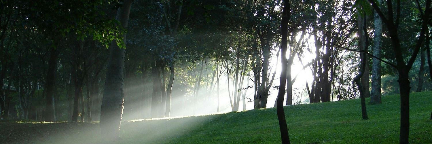 𝐴𝑙𝑒𝑥 𝑀𝑎𝑡𝒉𝑒 banner