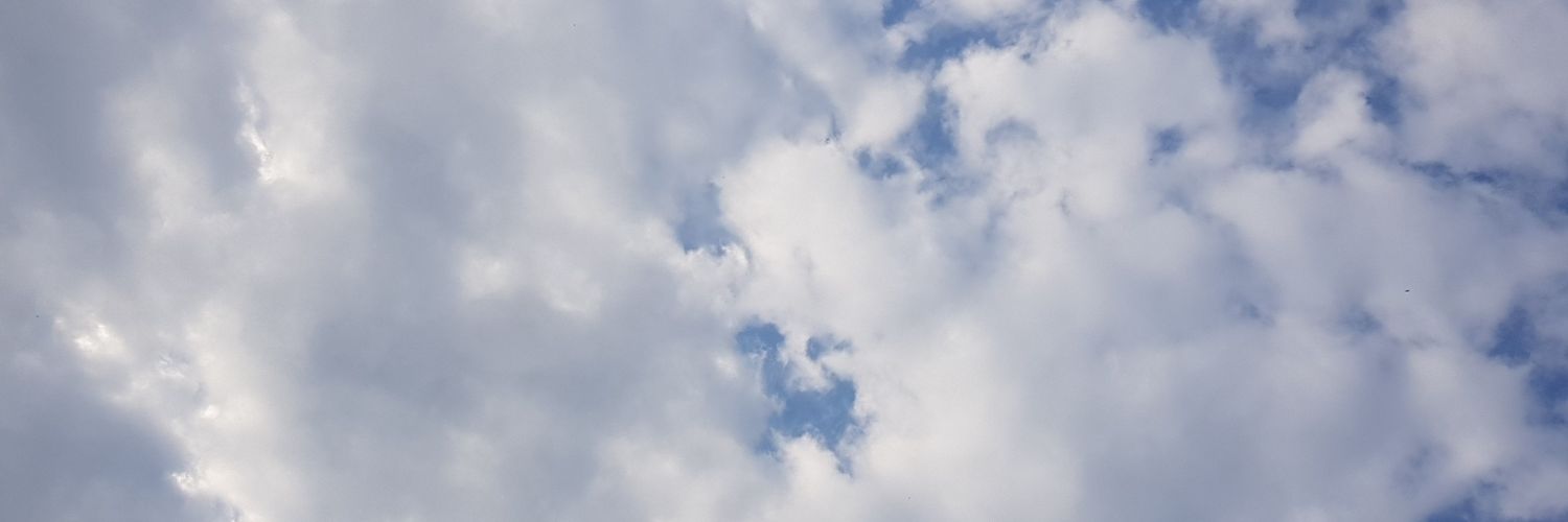 SilverLion41's profile banner image