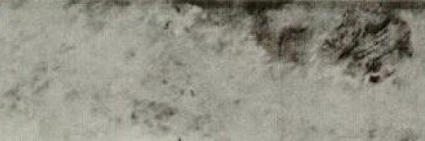 robertu banner