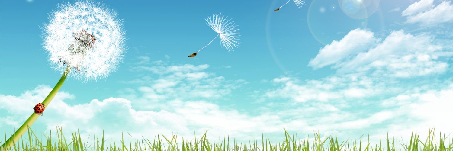 nativerobin's profile banner image