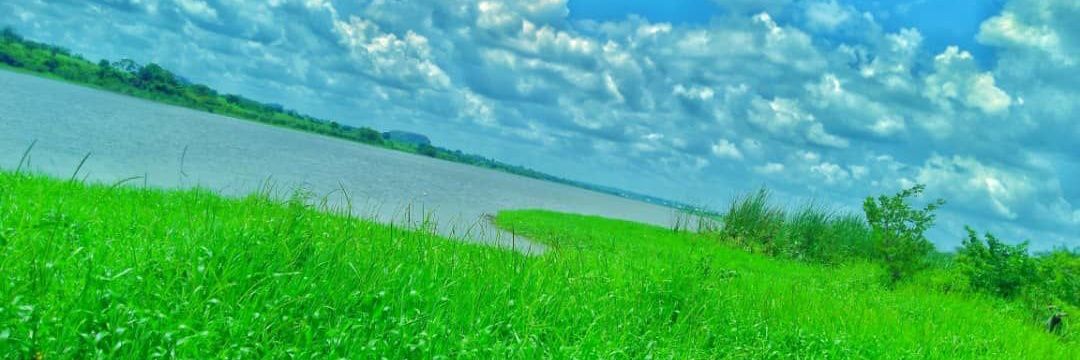 ayam_osam's profile banner image