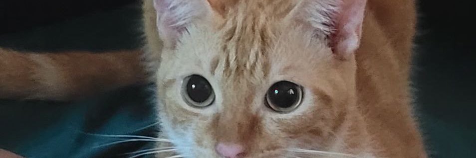 rvrntyza's profile banner image