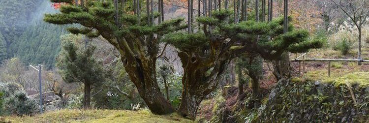 roger_bys's profile banner image