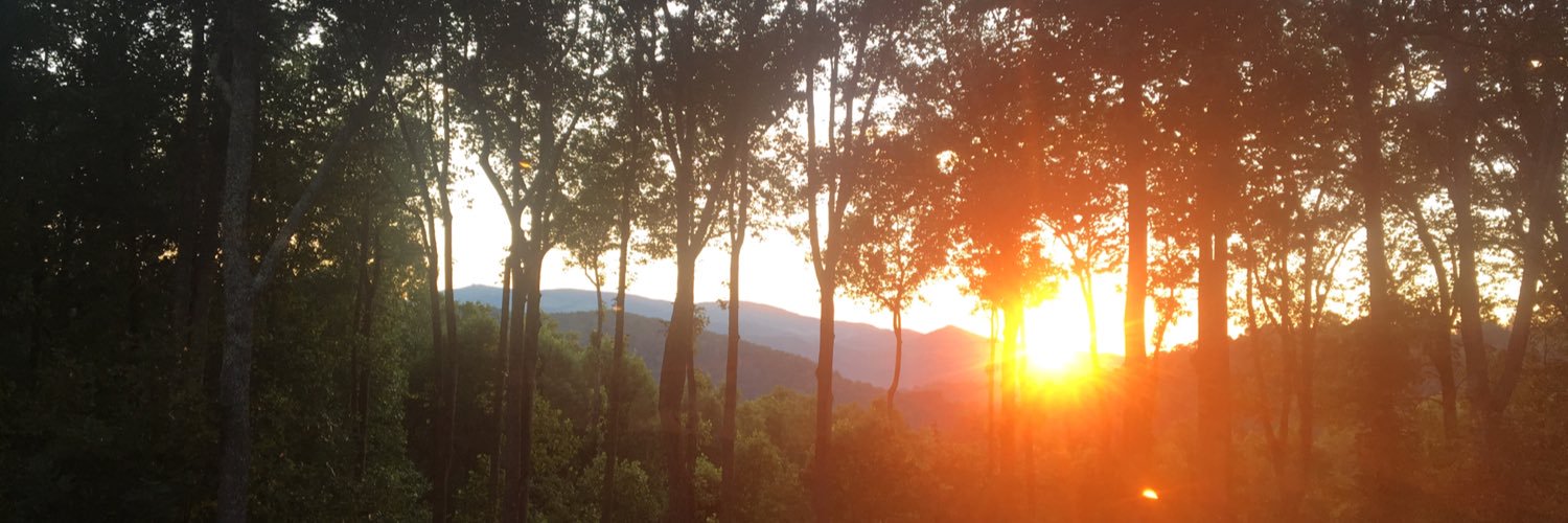 Julieroy2015's profile banner image