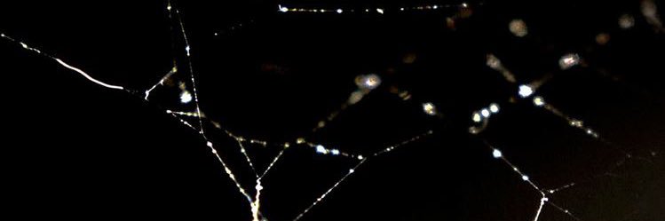 Salvahtion's profile banner image
