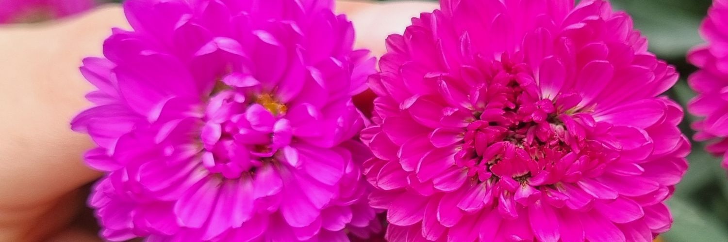 ClauGiss05's profile banner image