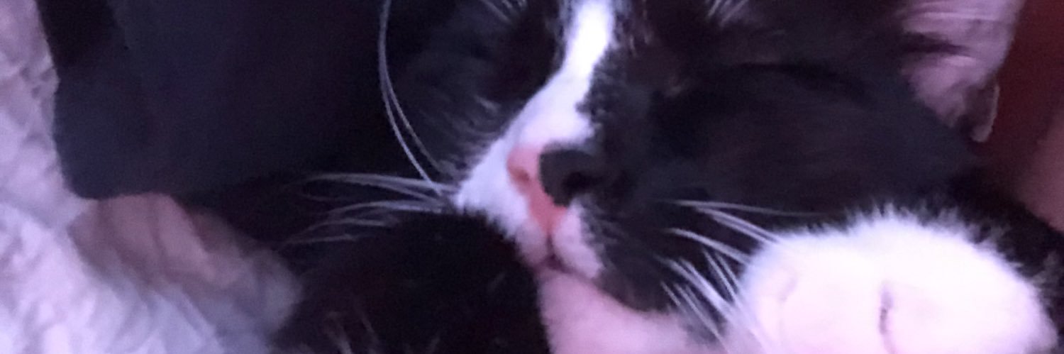 eileencelestee's profile banner image