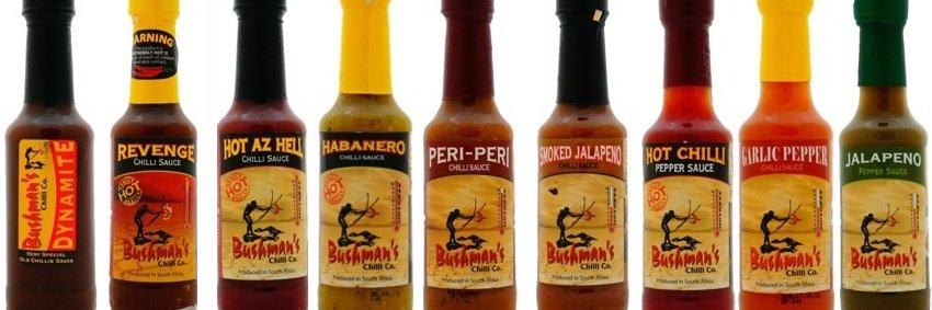 bushmanschilli.DACH banner