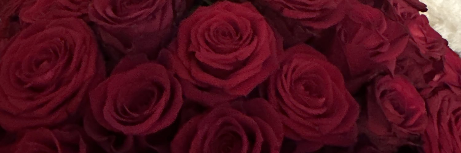 _abigaillx's profile banner image