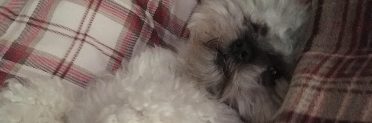 alyparks's profile banner image