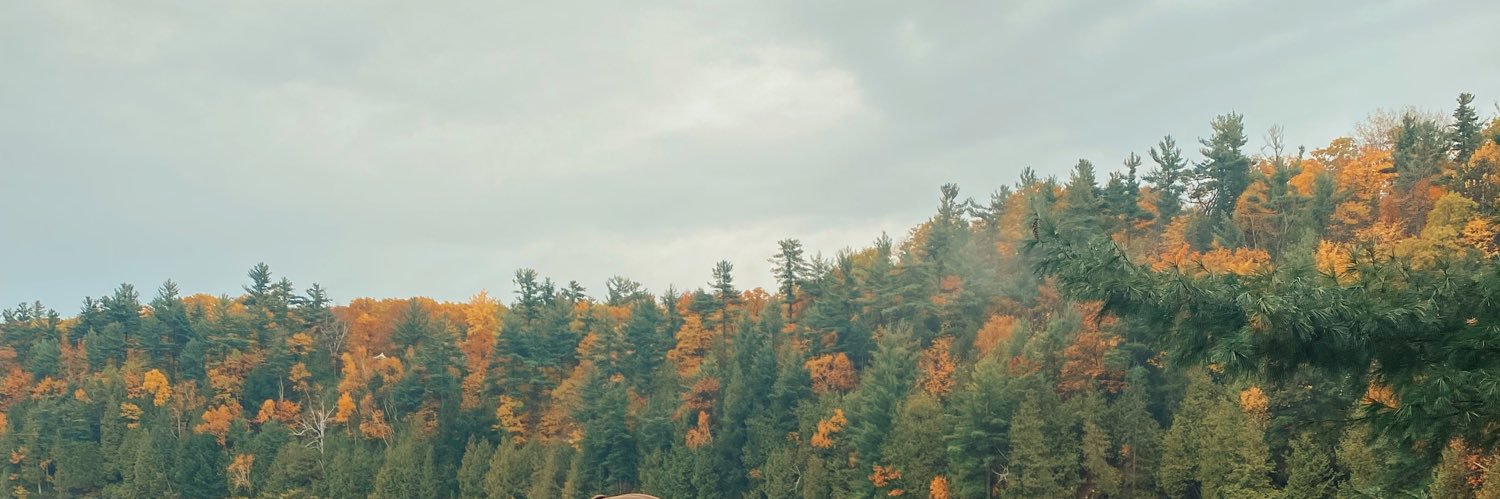 danaaplummer's profile banner image