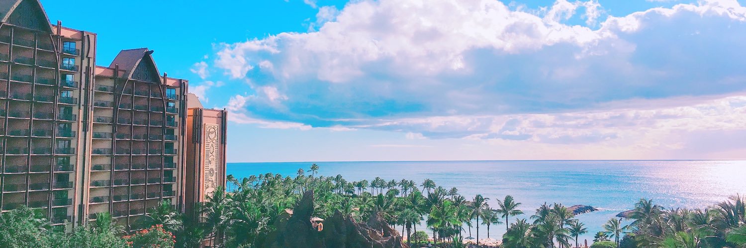 risusan1108's profile banner image