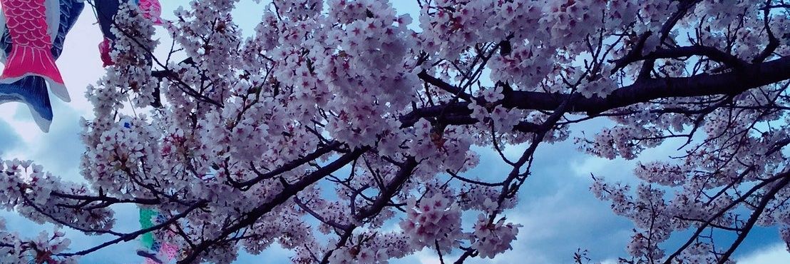 hrok_yuk's profile banner image