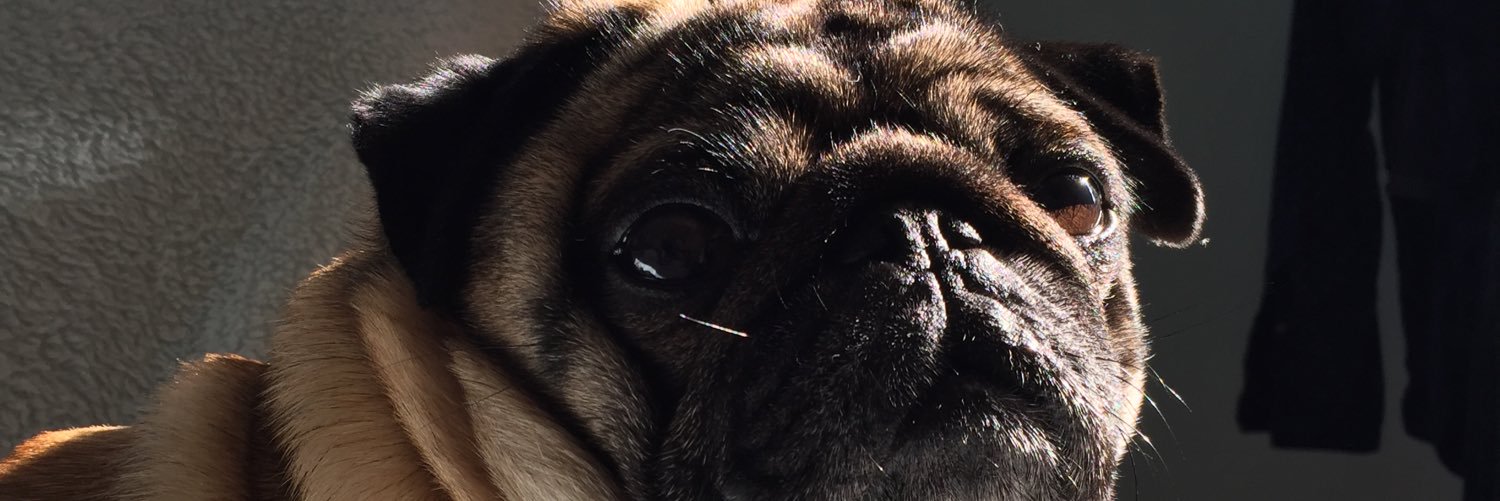 hannahlongw's profile banner image