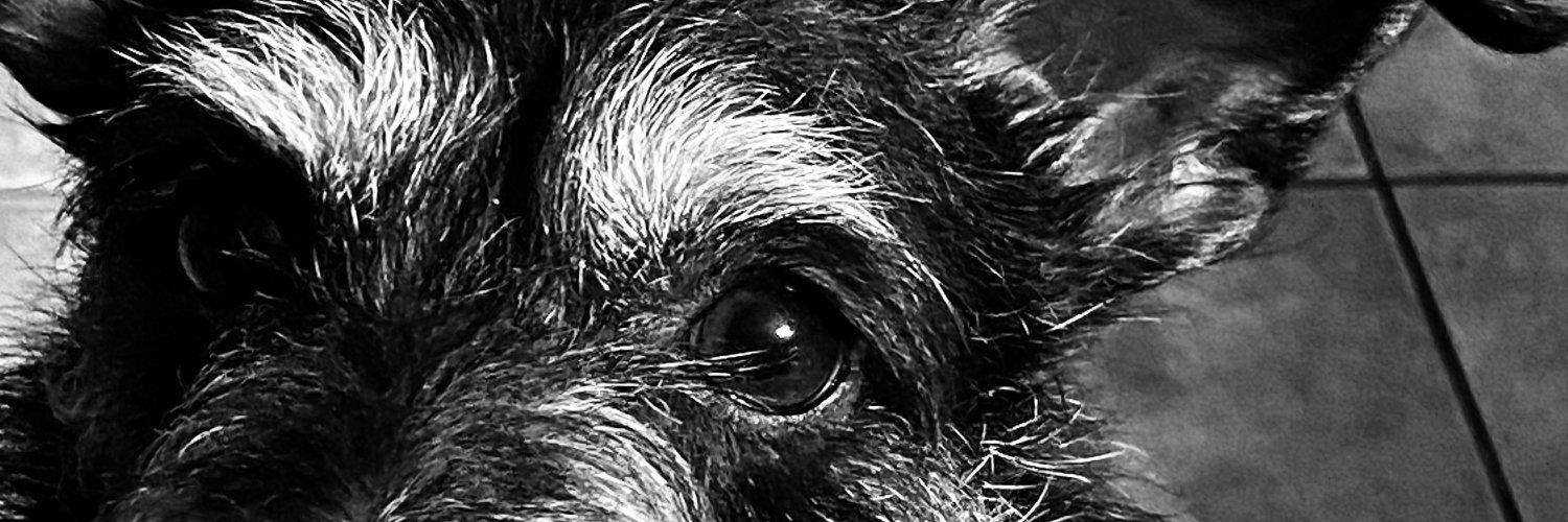 CHOCOLATE_LIFE2's profile banner image