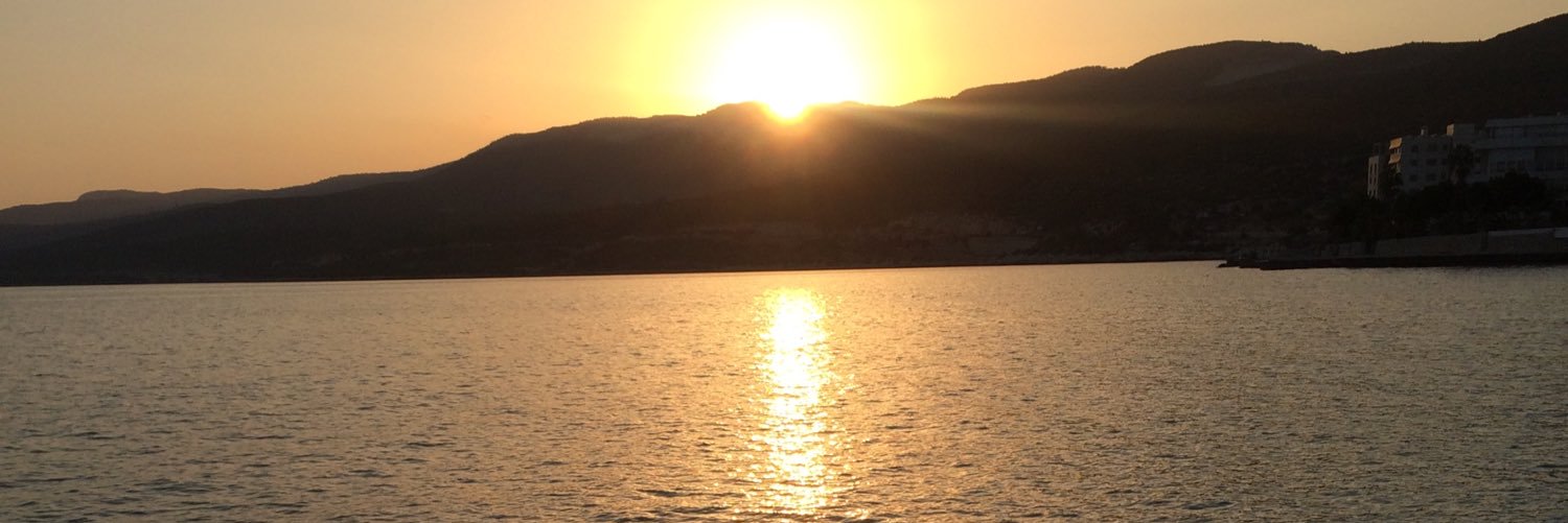 aysedgn33's profile banner image