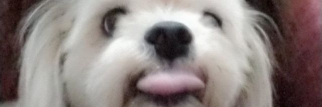mmmmikee_'s profile banner image