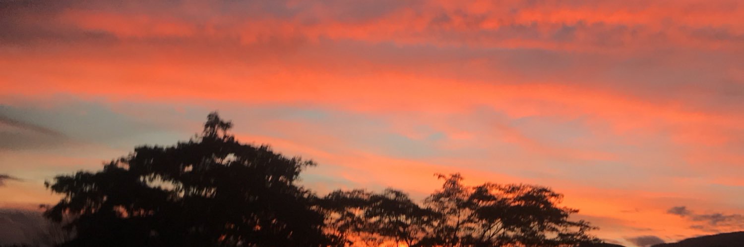 Carosabagh's profile banner image