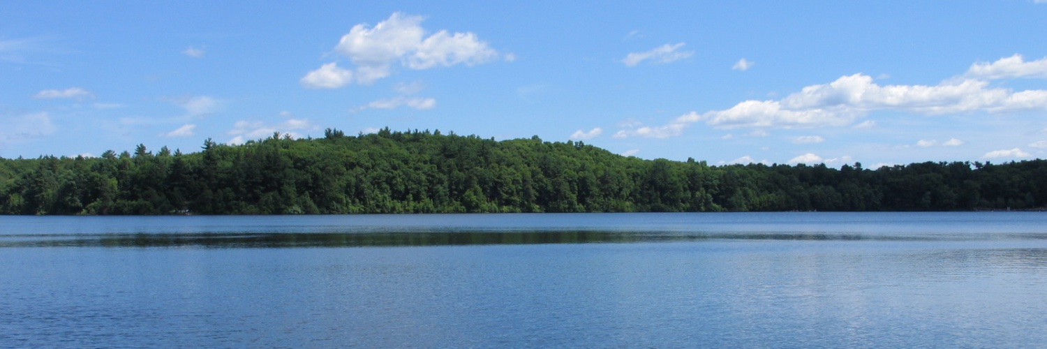 Dr. Laura Smith banner