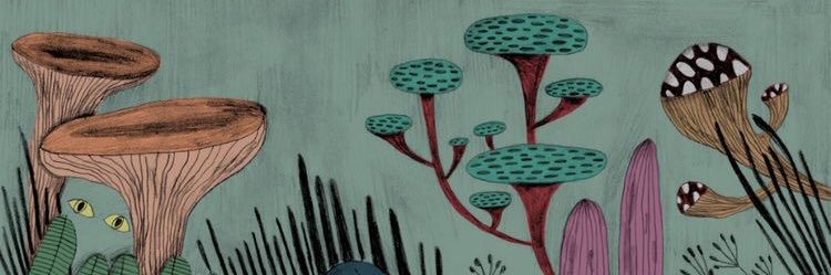 kladovals's profile banner image