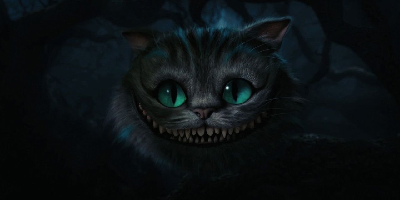 mateogutz's profile banner image