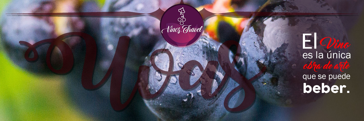 vinostravel's profile banner image