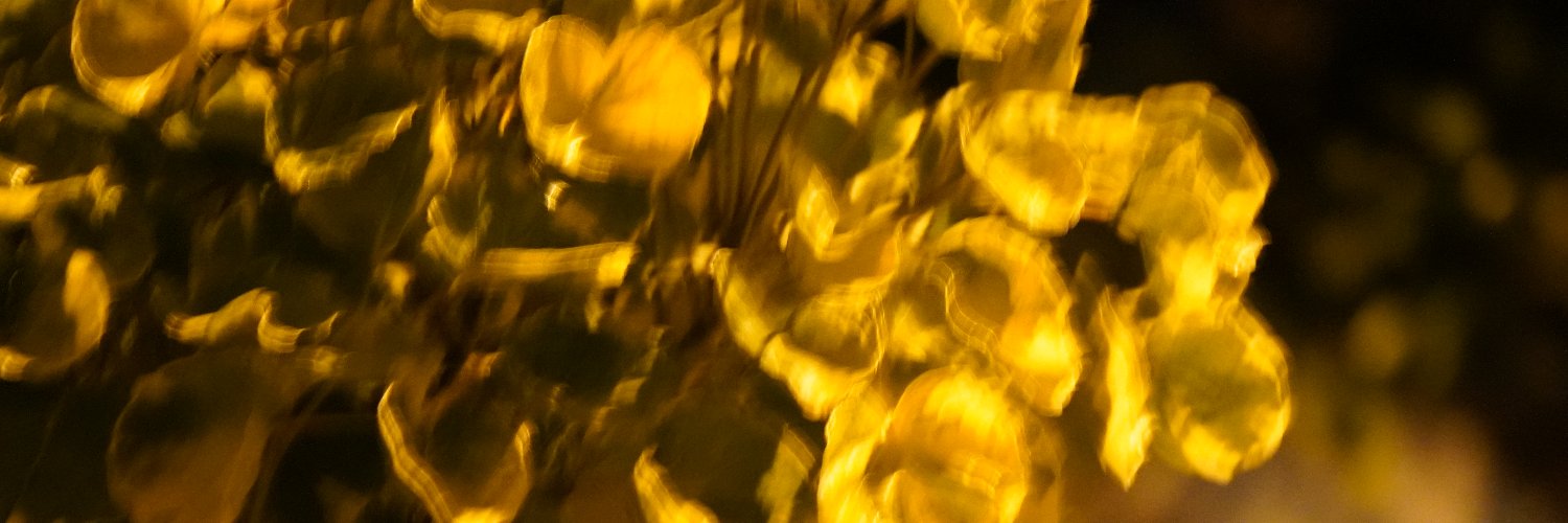 darc_bay's profile banner image