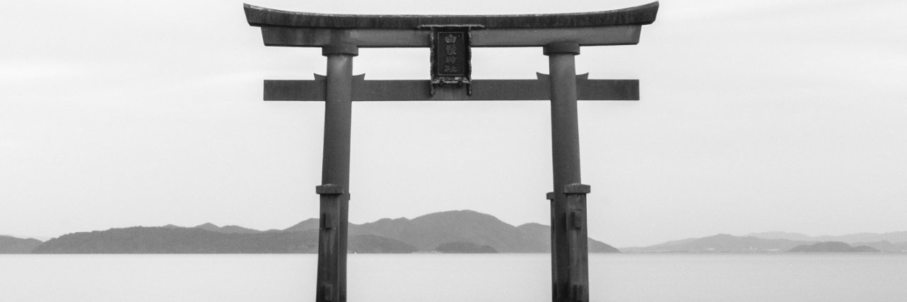 ant95_31's profile banner image