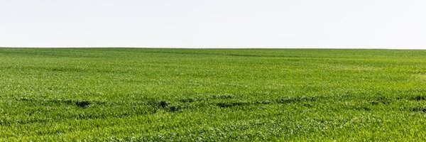 zackvoell Profile Banner