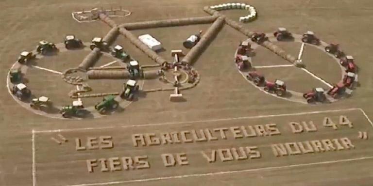 Willie Wright banner