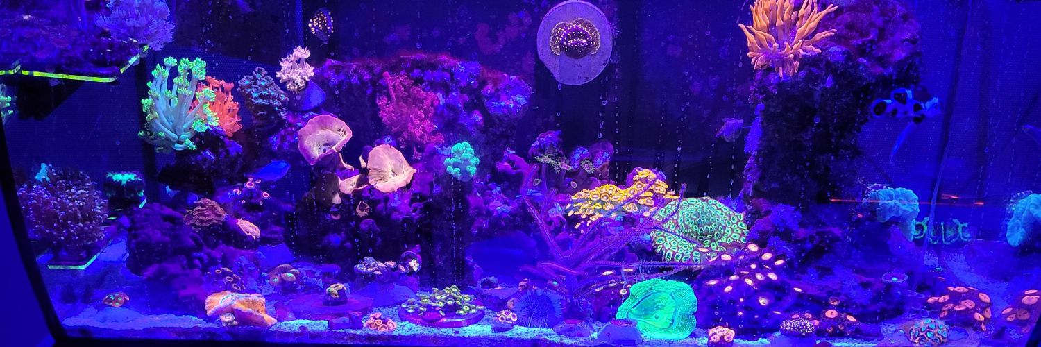 FisherC02's profile banner image