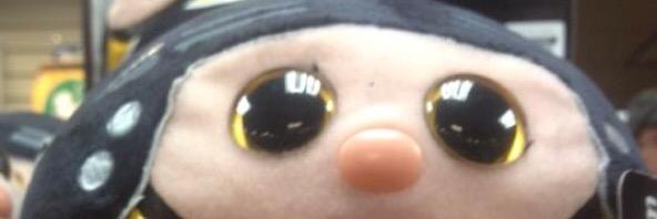TheIceChick's profile banner image