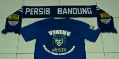 VIKING STHB banner
