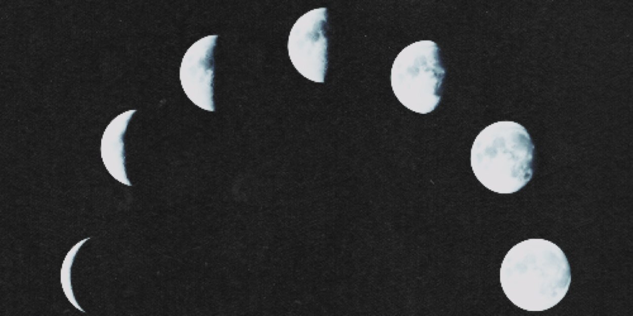 espermautozoide's profile banner image