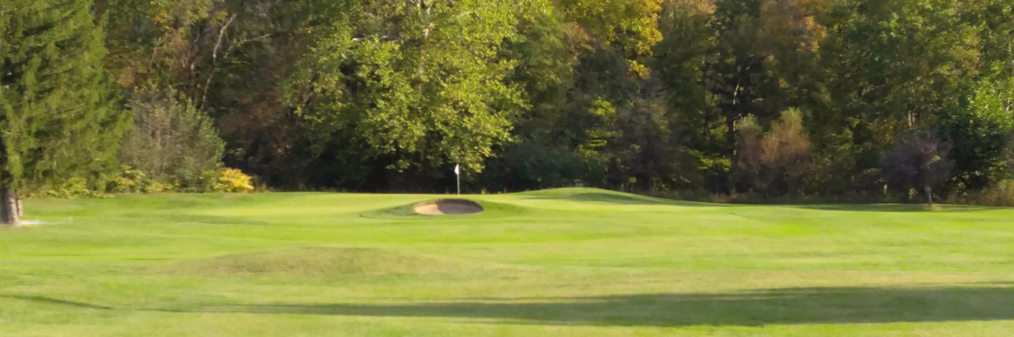 TommyHATESgolf banner