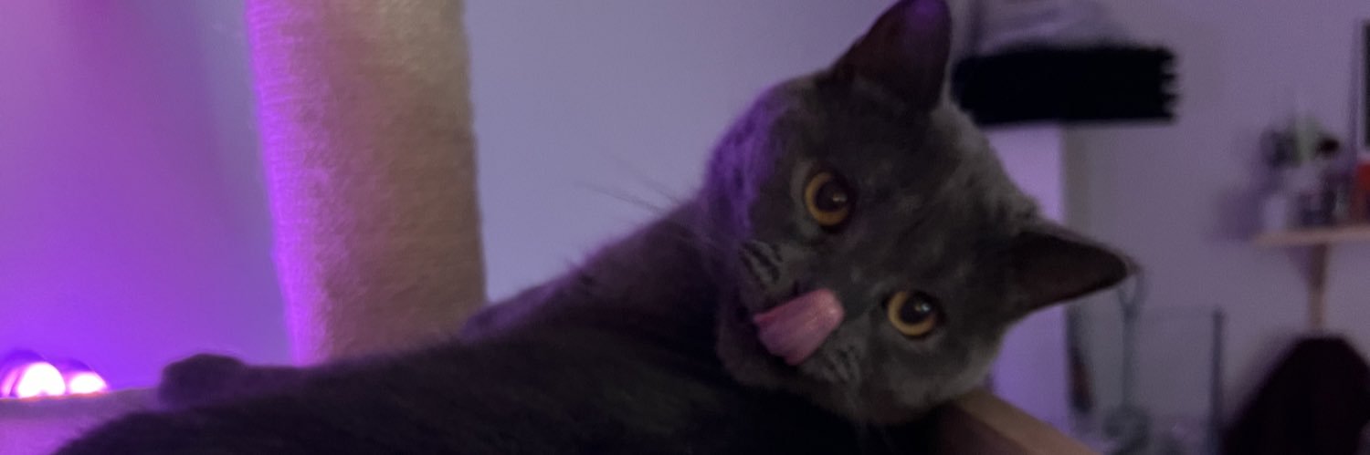 Trüly 🚪 banner