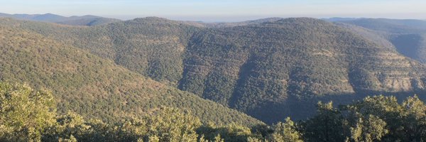 janninsteph Profile Banner