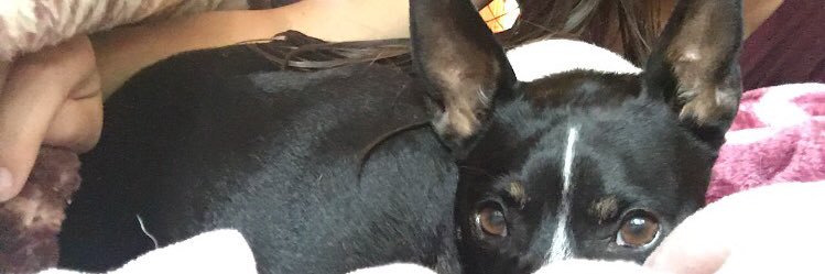 katiedemick's profile banner image