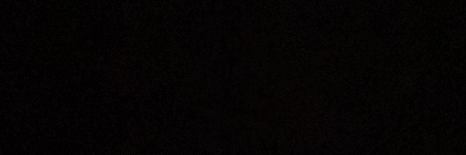 sshirlenn's profile banner image
