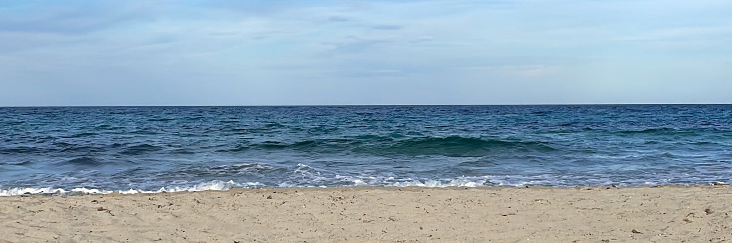 Daniela Collu banner