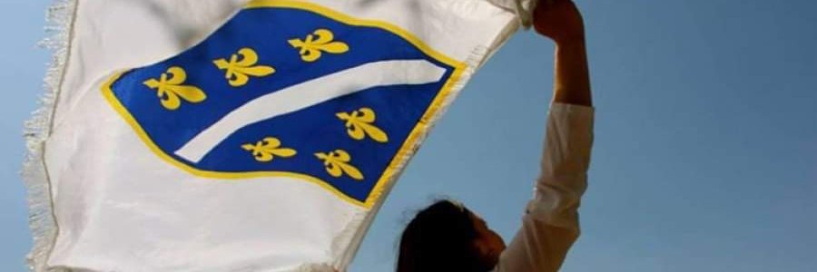 Rigorozni Sabrija 🇧🇦🇪🇺🇺🇦🇬🇧 banner