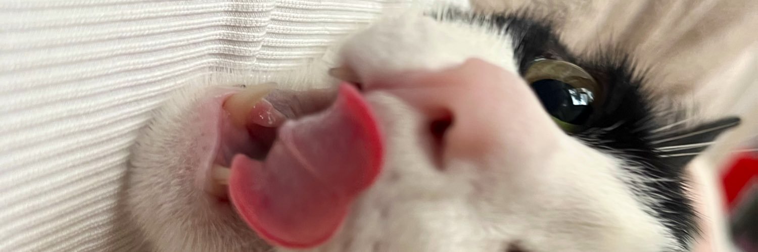 maaafeitosa's profile banner image