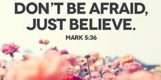 M banner
