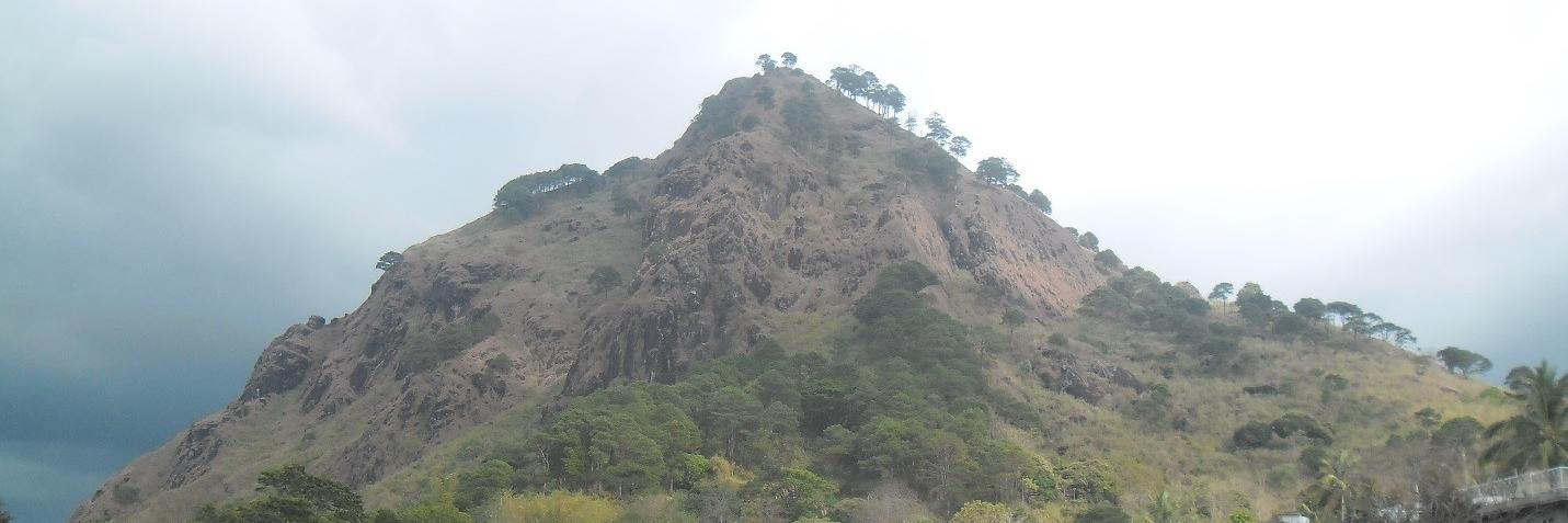 mtprovince_pfu's profile banner image