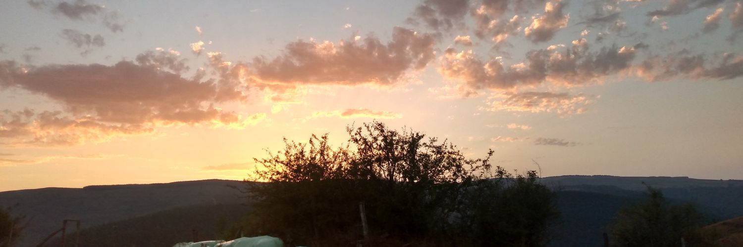 Armando__Testa's profile banner image