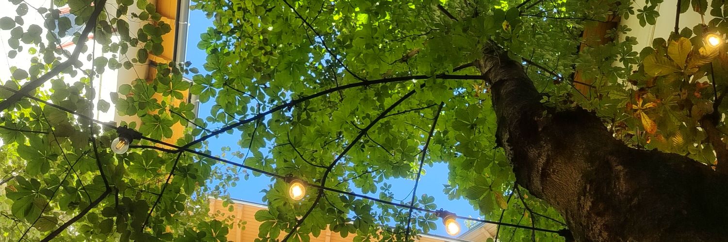 Dr Yuliya Yurchenko 🇺🇦 banner