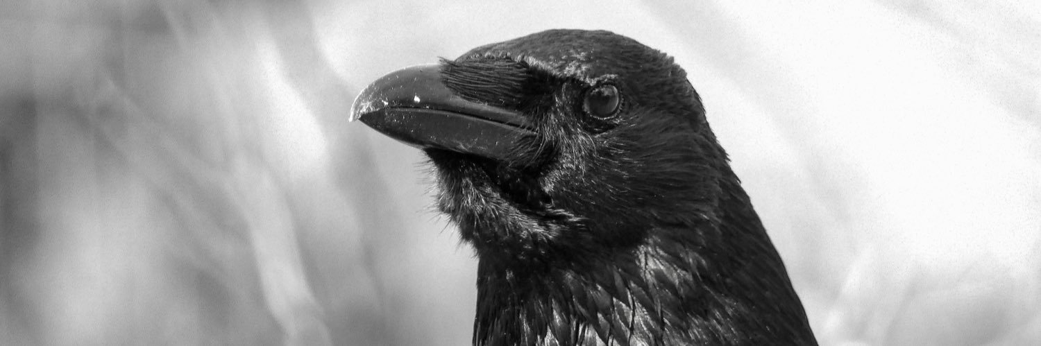 _lotuseater_'s profile banner image