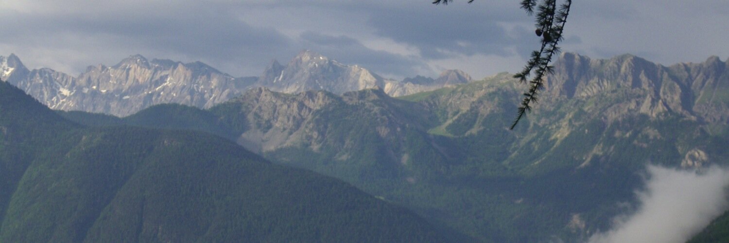 Musicaulogis's profile banner image
