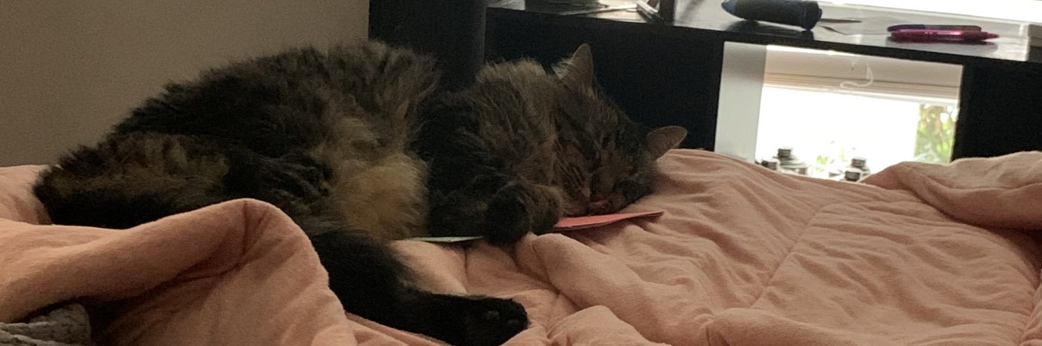 TayTaylor19's profile banner image